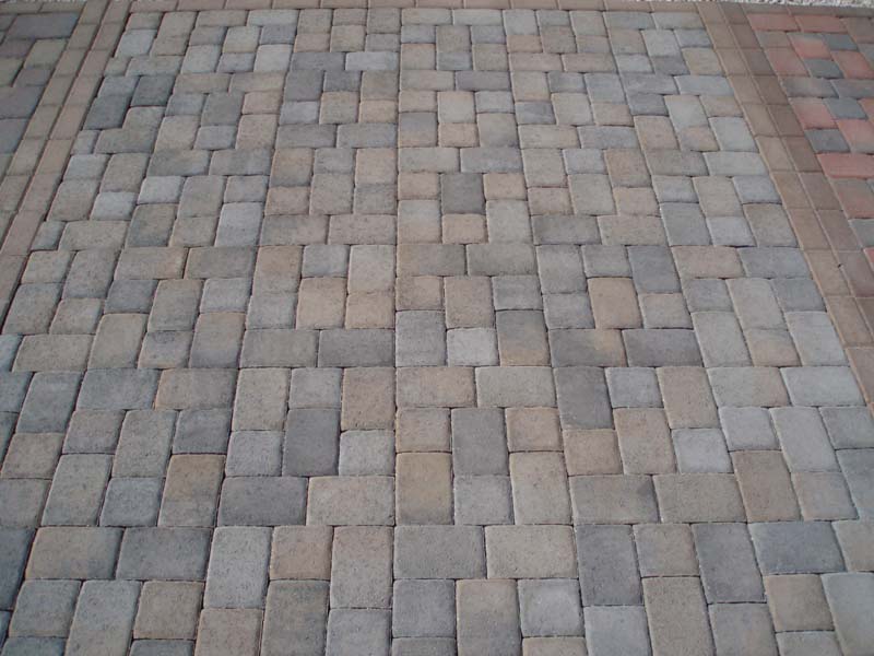custom pools and spas by greencare.net